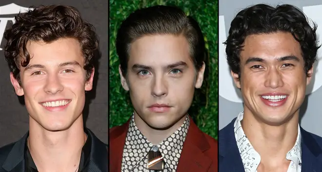 Shawn Mendes/Dylan Sprouse/Charles Melton on red carpet