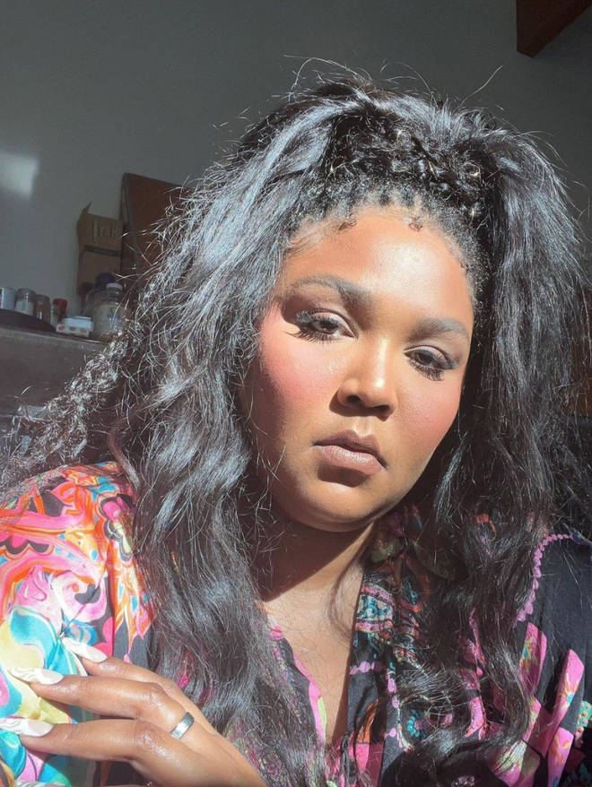 Lizzo's text exchange had fans thinking Harry Styles was at the other end