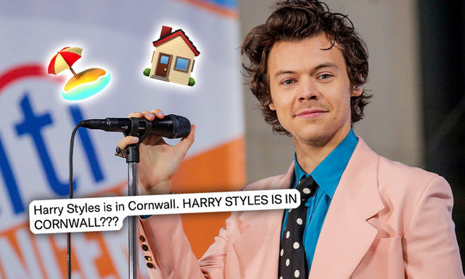 Is Harry Styles looking for a Cornish home?