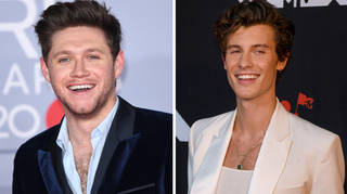 Niall Horan and Shawn Mendes have reunited