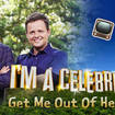 I'm A Celeb... could be returning to the jungle