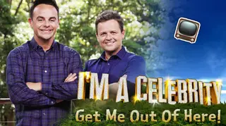 I'm A Celeb... could be returning to the jungle