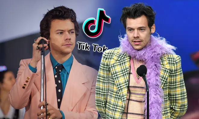 Harry Styles fans are convinced he has a secret TikTok account