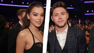 Niall Horan and Hailee Steinfeld are said to have split
