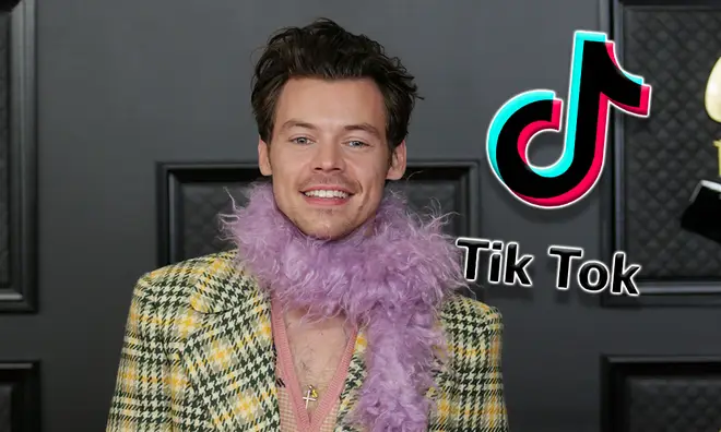 Harry Styles fans think they've uncovered the mystery of his secret TikTok account