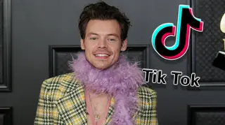 Harry Styles fans think they've uncovered the mystery of his secret TikTok account