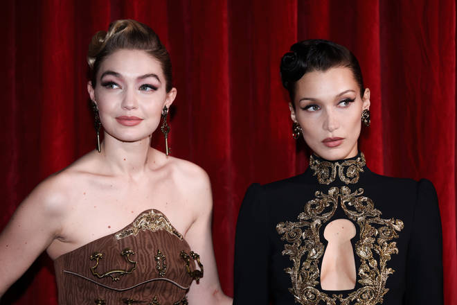 Gigi and Bella Hadid are activists as well as supermodels