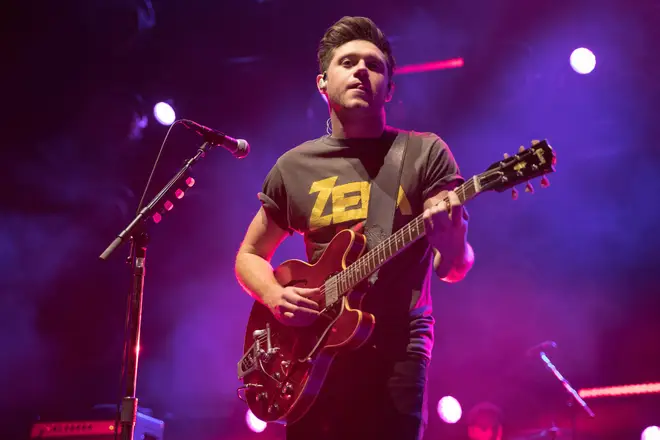 Niall Horan fans are obsessed with his TikTok era
