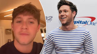 Niall Horan fans are obsessed with his return to TikTok