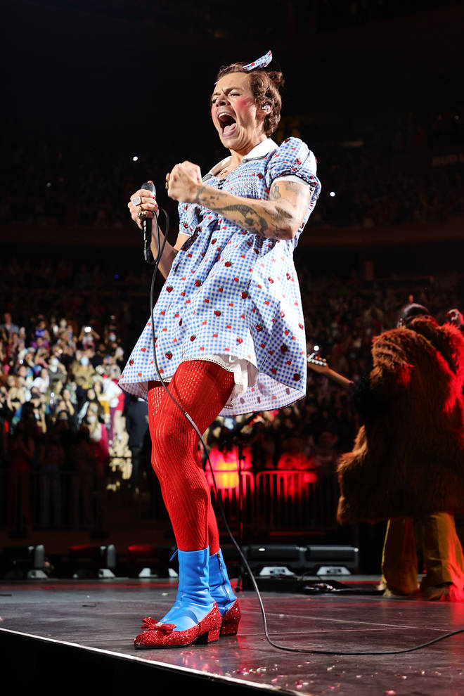 Harry Styles' Dorothy costume had a subtle link to his new musical era