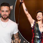 Liam Payne praised Harry Styles' Coachella set