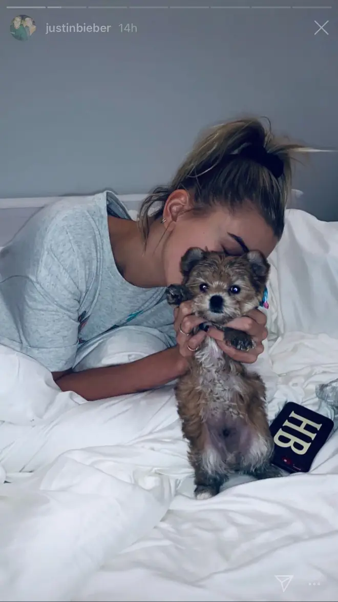 Hailey Bieber shows off her new pup.