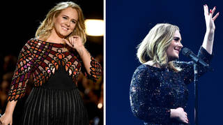 Adele may never tour again after shutting down touring firm