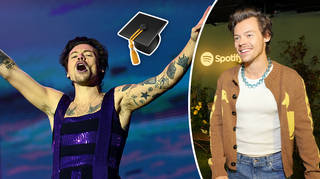 You can now study Harry Styles at uni...