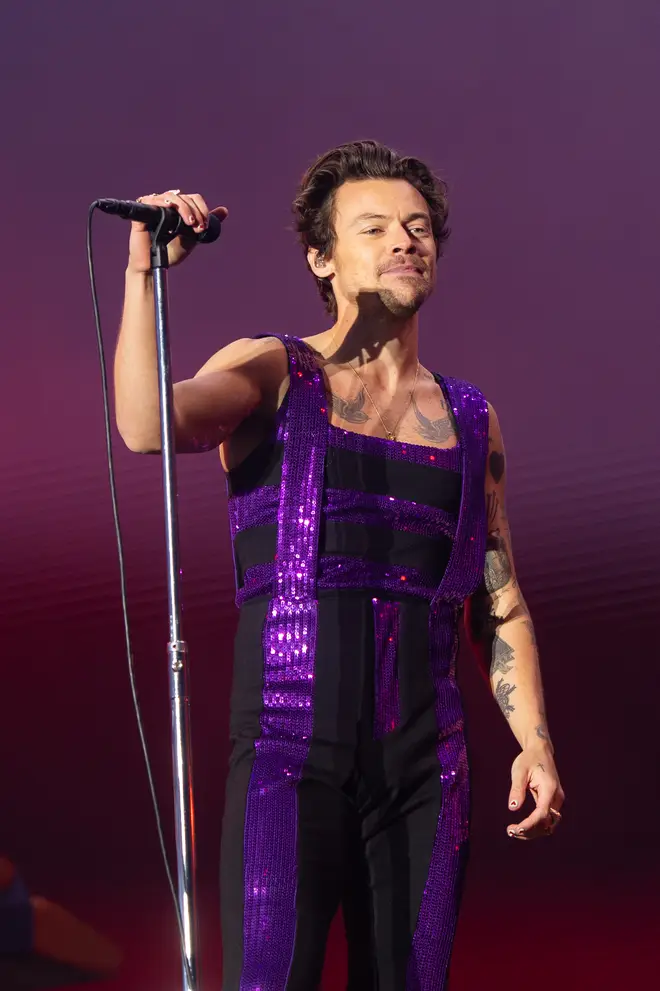 Harry Styles fans reckon he's an Ekin-Su fan