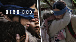 There could be a Bird Box sequel in the future.