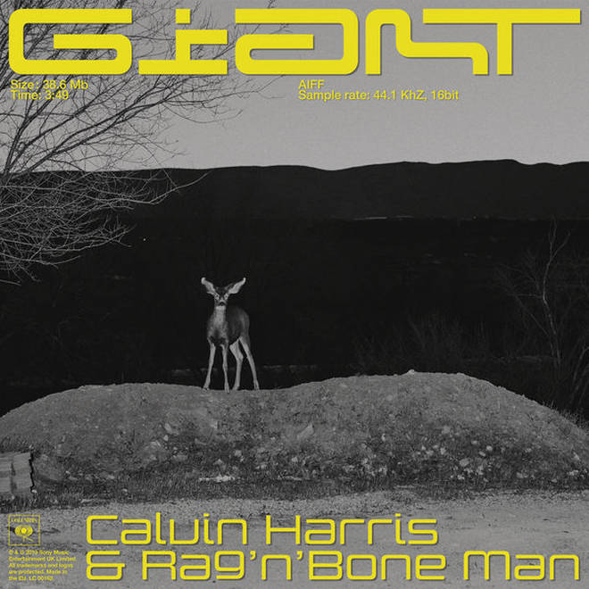 Calvin Harris and Rag 'N' Bone Man's 'Giant' is the DJ's first single of 2019