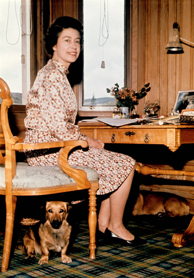 Her Majesty owned over 30 dogs in her lifetime