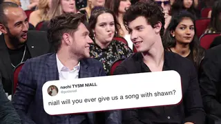 Shawn Mendes confirms a collaboration with Niall Horan
