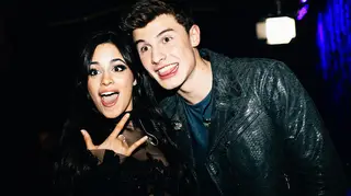 Fans are questioning if Shawn Mendes and Camila Cabello are dating