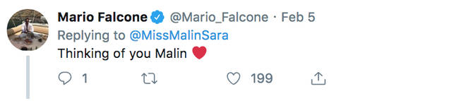TOWIE's Mario Falcone sends his message of support to Malin