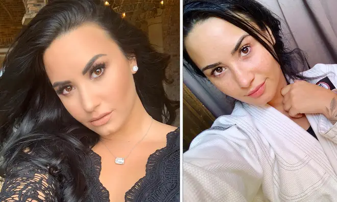 Demi Lovato has reportedly checked back into rehab