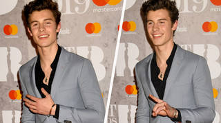 Shawn Mendes has hit the BRITs 2019 red carpet