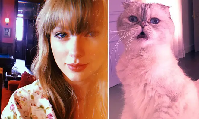 Taylor Swift 2019: Taylor To Release New Song Tonight? Fans Adamant New Single Will Drop Tonight