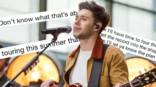 Niall Horan responded to speculation he's going on tour this year