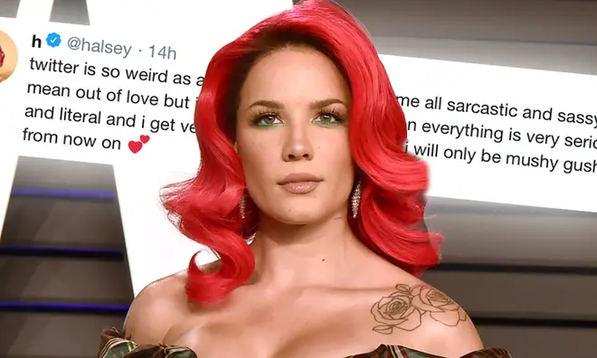 Halsey responded on Twitter after some fans took offence to her sarcasm