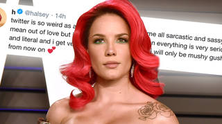 Halsey responded on Twitter after some fans took offence to her sarcasm