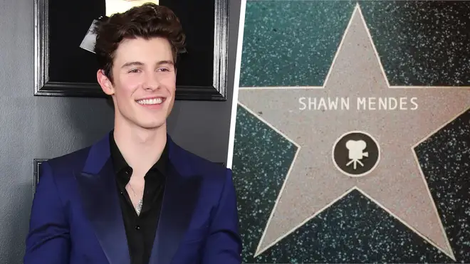 Shawn Mendes confirmed an upcoming movie role