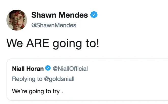 Niall Horan and Shawn Mendes are going to collaborate at some point