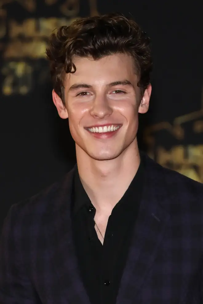Shawn Mendes' curly locks have become his trademark