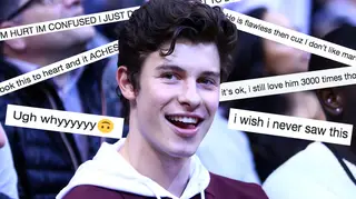 Shawn Mendes's movie revelation divided fans