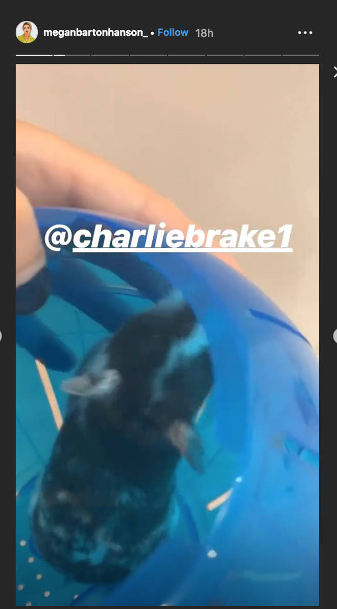 Megan Barton Hanson returns Charlie Brake's pet after losing it
