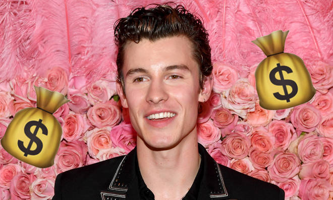 Shawn Mendes Net Worth: Calvin Klein Campaign Star's Impressive Fortune  Revealed - Capital