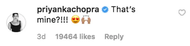 Priyanka Chopra's comment on Nick Jonas' Instagram photo.