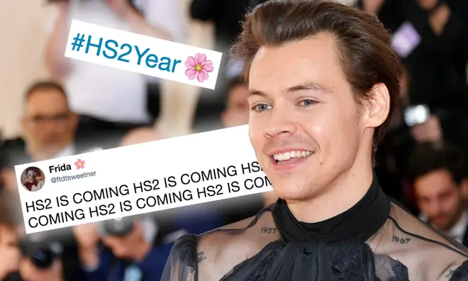 Harry Styles said it was the year of 'HS2' in May