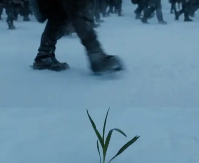 In the Game of Thrones finale, as Jon Snow and the Wildlings walked north of the Wall, we saw a little sapling in the snow