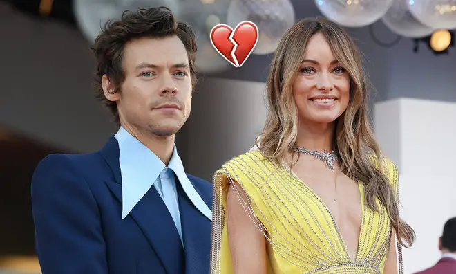 Harry Styles and Olivia Wilde have reportedly decided to take a break from their relationship
