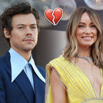 Harry Styles and Olivia Wilde have reportedly decided to take a break from their relationship