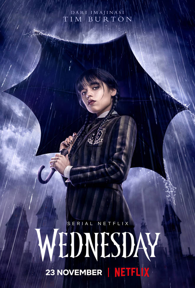 Wednesday dropped on Netflix on November 23