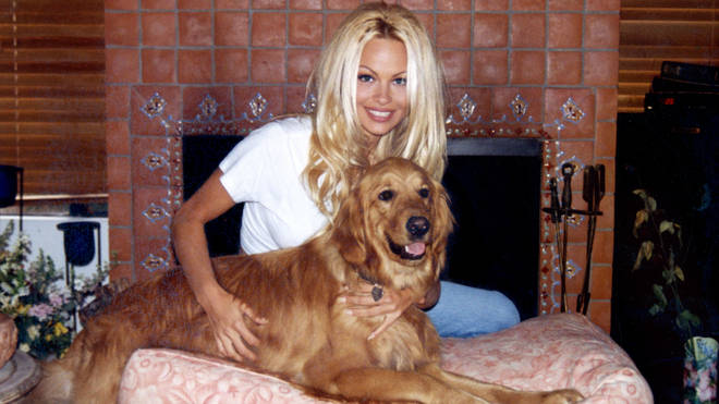 Pamela Anderson rose to fame at 22 years old
