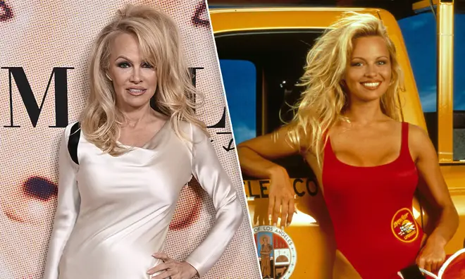 Pamela Anderson soared to fame at 22 years old