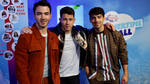 The Jonas Brothers called their split "important"