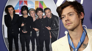 Harry Styles cleared up what happened with his One Direction selfie