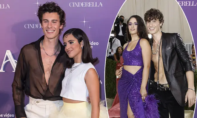 Camila Cabello and Shawn Mendes have been spotted having another reunion