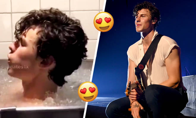Shawn Mendes took an ice bath on Instagram live