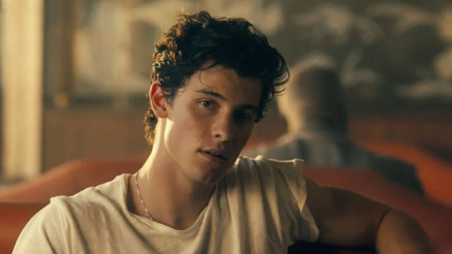 Shawn Mendes in the 'Seńorita' music video